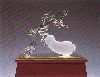20010 20010